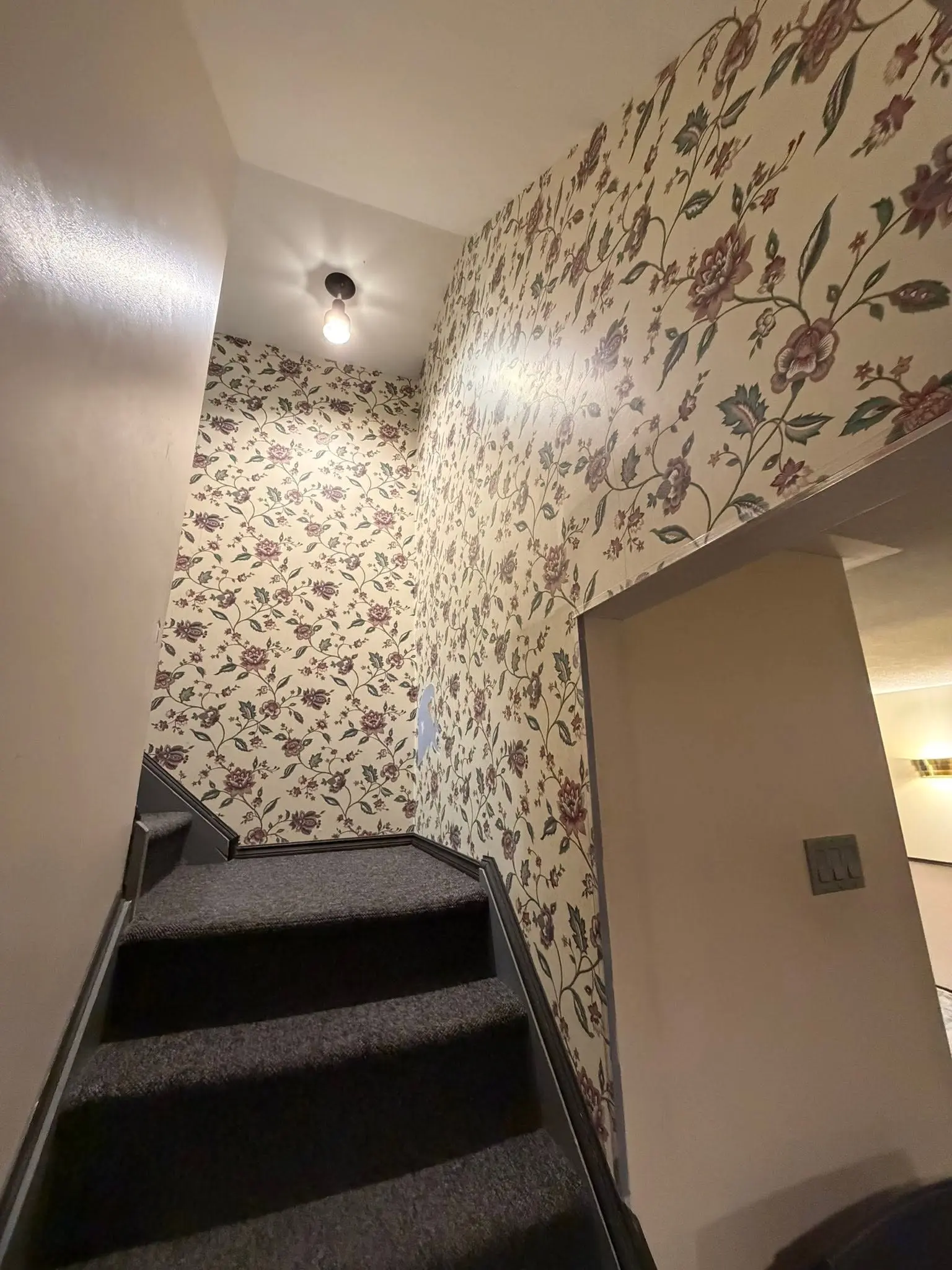 Image of Finished Walls